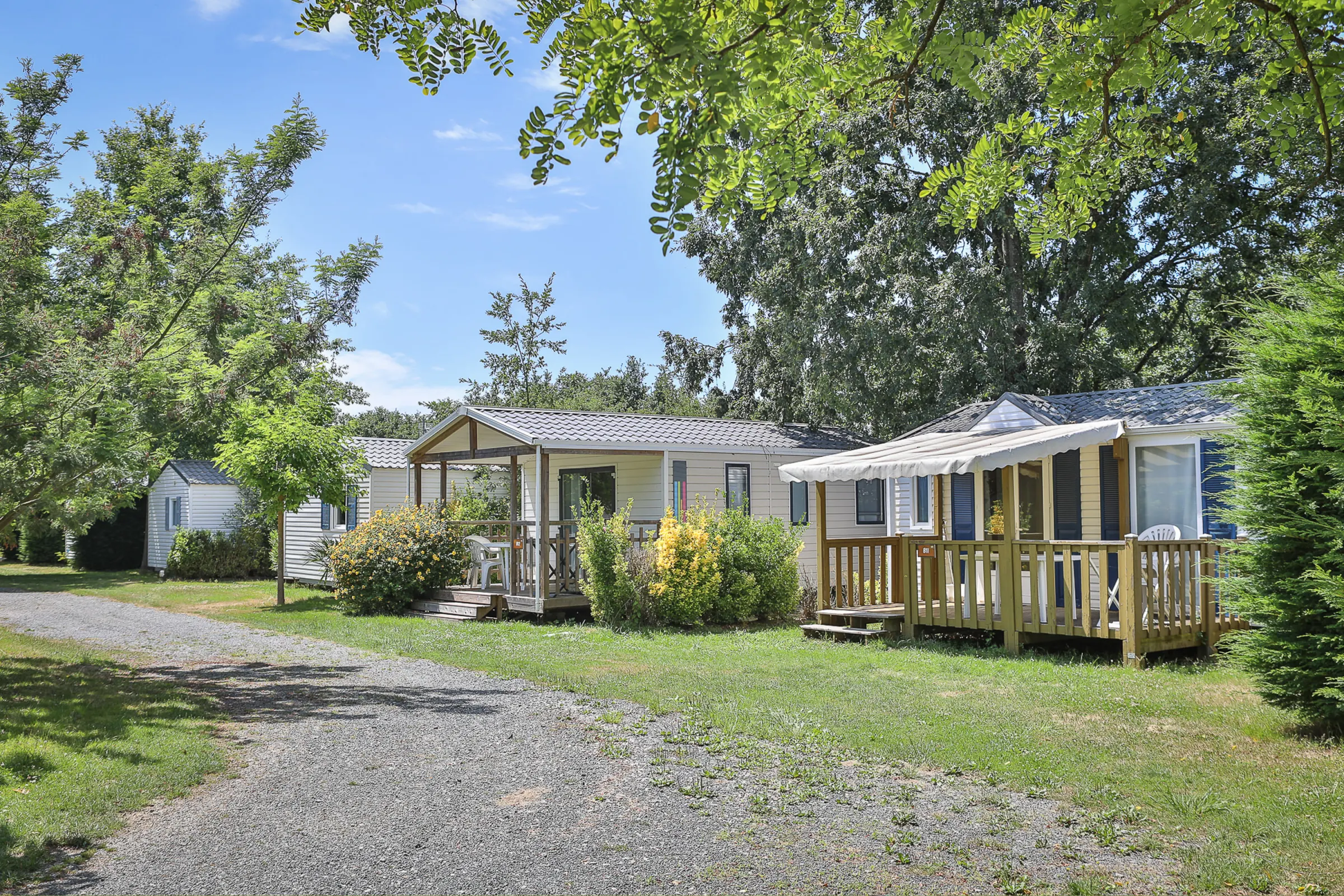 Allée arborée bordée de mobil-homes
