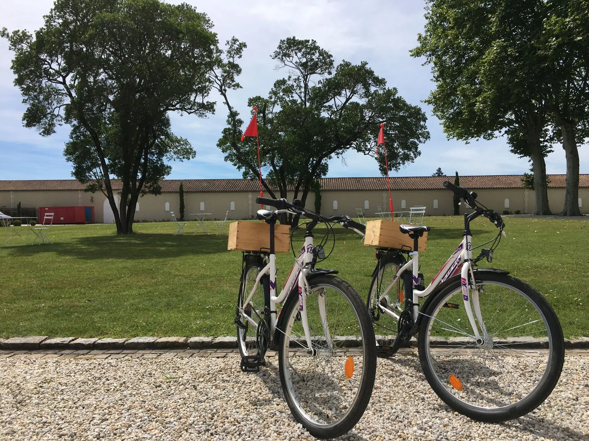 Deux vélos garés en bord de mer