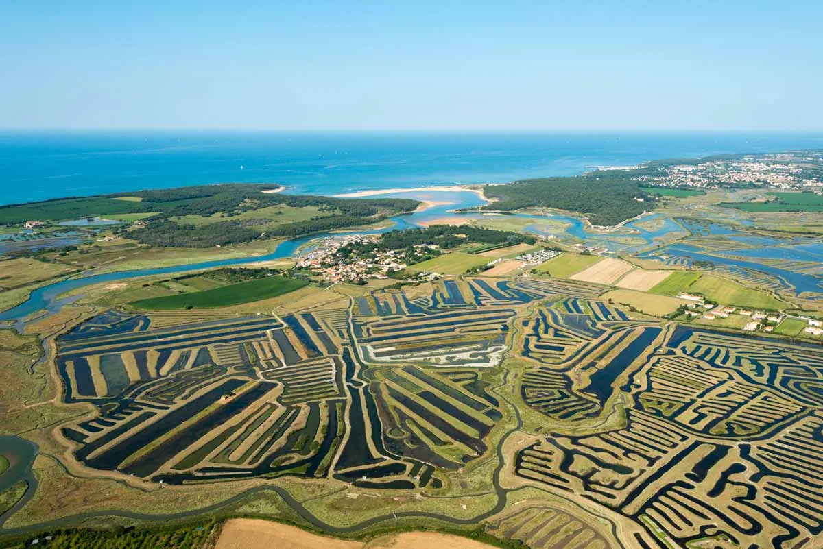 Vue aérienne des marais de la Guittière et de l’estuaire du Payré